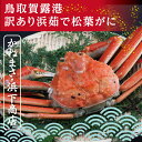 2位! 口コミ数「0件」評価「0」0819 鳥取賀露港 訳あり浜茹で松葉がに 大 1枚(かねまさ・浜下商店)　　蟹　かに　ずわいがに　茹で ボイル　送料無料　訳あり　期間限定