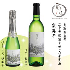 【ふるさと納税】351 梨果実酒「梨美子(りこ)」セット