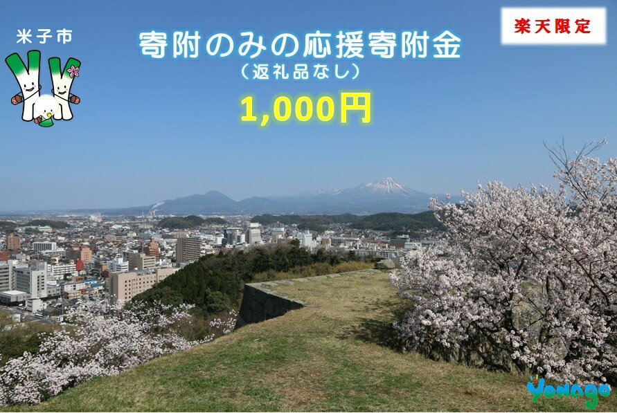 【ふるさと納税】米子市応援寄付金1,000円（返礼品なし）選