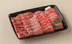 【ふるさと納税】 21-019-008 鳥取和牛焼肉用モモ・バラ計500g【高島屋選定品】【WEB限定品】