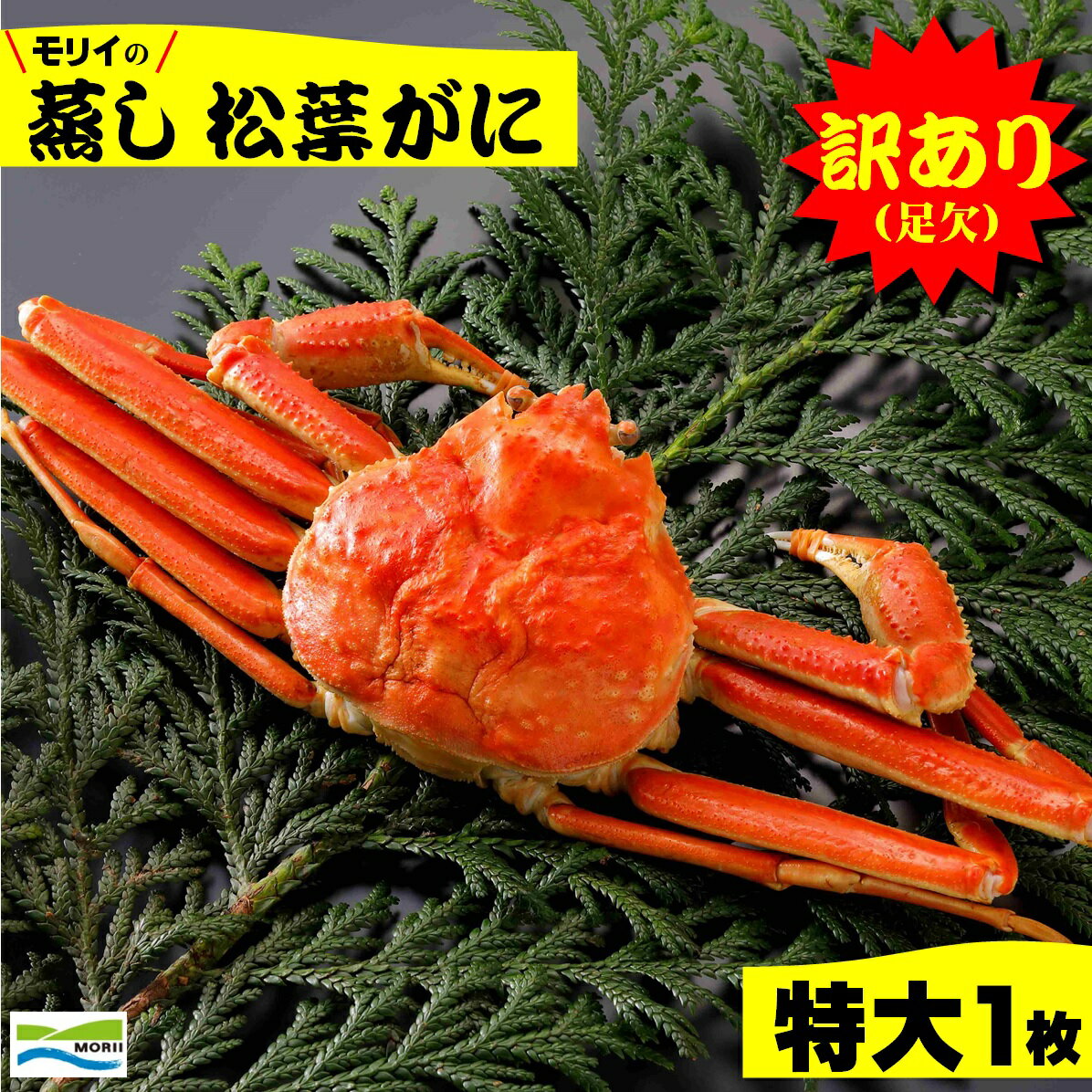 【ふるさと納税】先行予約 訳あり 鳥取県産 蒸し松葉がに(特