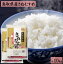 【ふるさと納税】令和5年産 鳥取県産 きぬむすめ 5kg×2 計10kg【22-010-044】みずほ米穀 10000円 10キロ お米 5キロ×2 お米 米 精米 コメ 10000円 1万 朝食 朝ご飯 朝ごはん おにぎり 子供 お弁当 お取り寄せ グルメ 鳥取県 米子市 人気