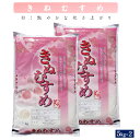 令和5年産 きぬむすめ 10kg（精白 5kg×2）むろ米穀 10キロ お米 こめ ツヤ 粘り 柔らかい お弁当 子供 子ども 朝ごはん おにぎり 美味しい 鳥取県産 鳥取県 米子市 送料無料