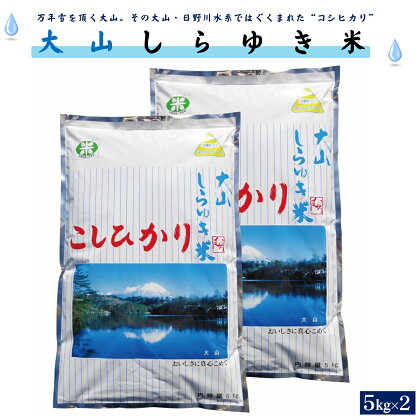 令和5年産 こしひかり 大山しらゆき米 5kg×2 計10kg 精白 コシヒカリ【24-013-013】むろ米穀 こめ お米 コシヒカリ 10キロ お米 朝ごはん コメ むろ米 鳥取 お弁当 子供 おにぎり 鳥取県 米子市 人気返礼品