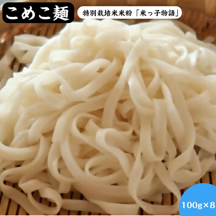 米粉100％ こめこ麺 100g×8袋 計800g 冷凍【24-010-030】鳥取県産 特別栽培米使用 米粉麺 グルテンフリー ライスヌードル ライスパスタ 冷麺 鍋 お取り寄せ グルメ 鳥取県 米子市 送料無料