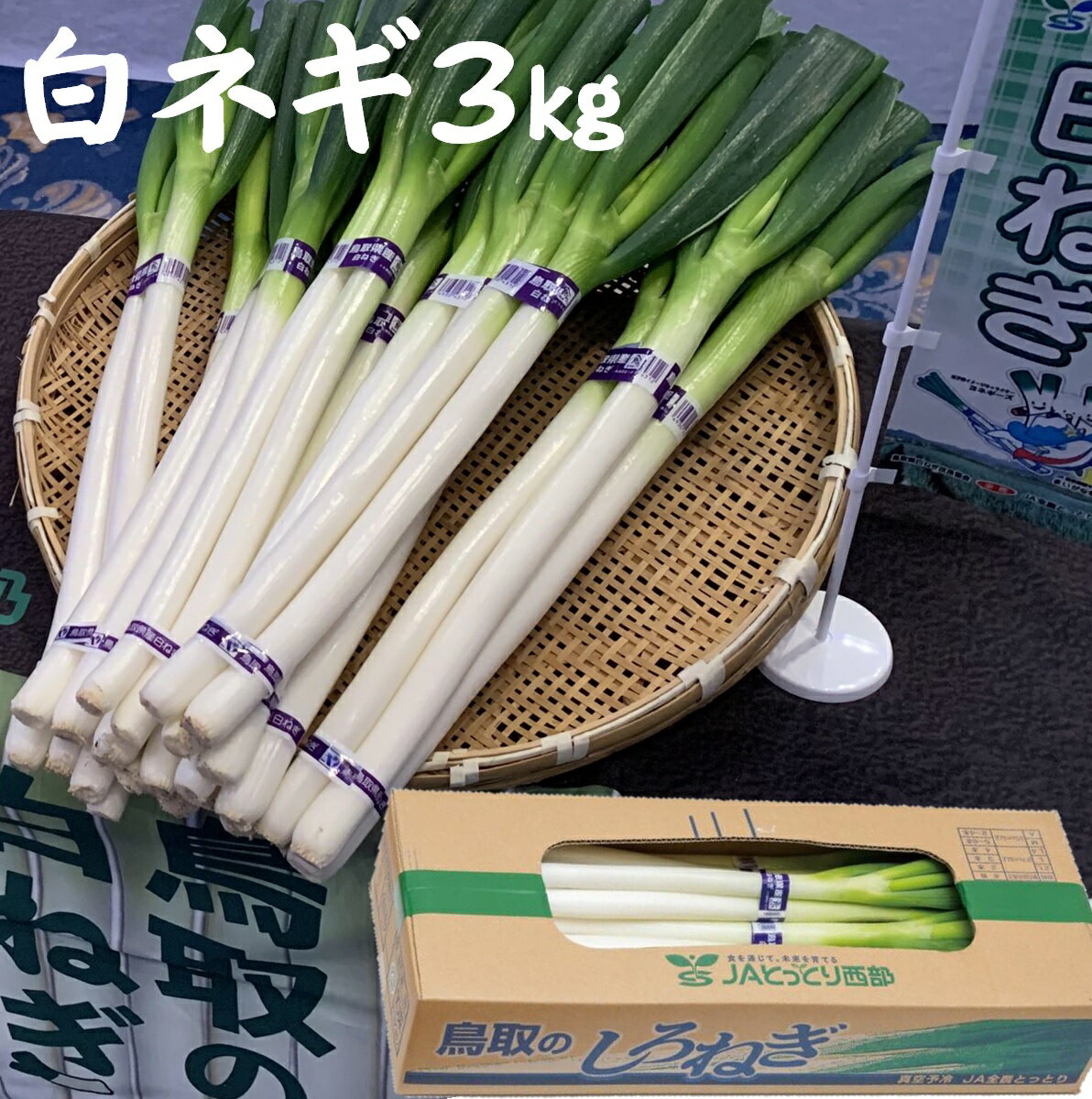 3位! 口コミ数「0件」評価「0」鳥取県産 白ねぎ 3kg(2Lサイズ2本×10束)【24-010-004】JAせいぶアスパル 新鮮なものを直売所から、直送いたします。産地直･･･ 