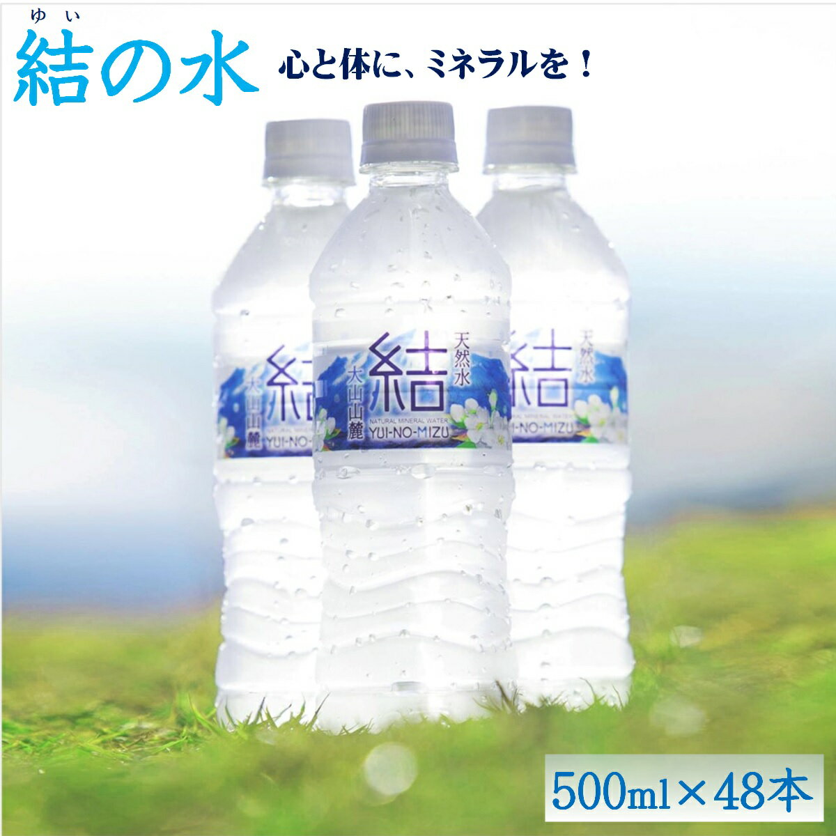 【ふるさと納税】水 大山山麓の天然水 結 500ml × 48本（24本入×2箱）軟水 ゆいのみず 【24-010-022】鳥取県ふるさと認証食品認定 2023年モンドセレクション金賞受賞 ミネラルウォーター 10000円 1万 永伸商事 ジムに サウナに 防災 備蓄 鳥取県 米子市 シリカ水 送料無料