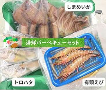 【ふるさと納税】海鮮 バーベキューセット2〜3人分・加熱用（冷凍便）【処理済み】美保水産【22-018-406】