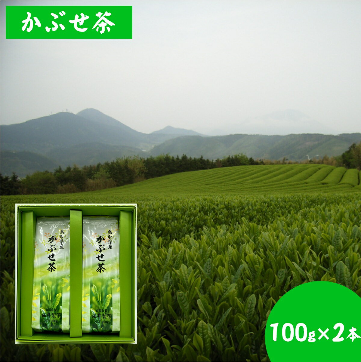 1位! 口コミ数「0件」評価「0」かぶせ茶 100g×2本 計200g【24-008-003】福井製茶 鳥取県大山の麓・米子市淀江町のつぼかめ山にある自園茶園 お茶 飲料 お･･･ 