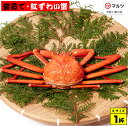 【ふるさと納税】蟹屋の釜茹で紅ずわい蟹(大)500~600g×1杯 冷蔵 境港産【25-018-001】【老舗「蟹専門店」株式会社マルツ】塩茹で ボイル済 かに カニ 蟹 紅ずわいがに 鍋 海鮮 海の幸 鳥取県産 鳥取県 米子市 期間限定