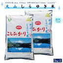 【ふるさと納税】令和6年産 無洗米 大山しらゆき米 10kg コシヒカリ 5kg×2 計10kg 【25-030-008】むろ米穀