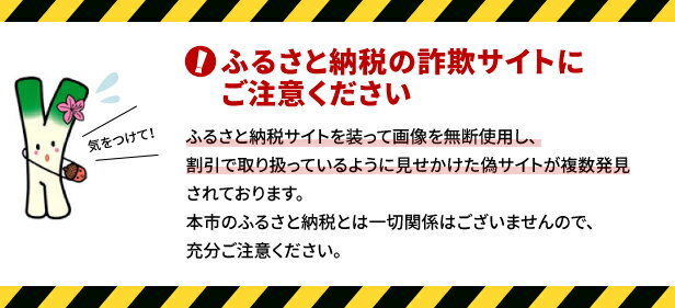 【ふるさと納税】WEB限定品【定期便】星空舞（米）6kg×4コース（全4回）【高島屋選定品】【TA-040-77】お米 計20kg