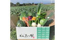 【ふるさと納税】新鮮 朝採れ 野菜 セット 【25-012-005】 大山恵みの里公社 季節 詰め合わせ おまかせ 農家