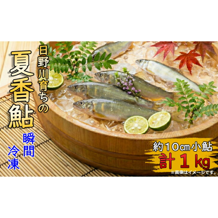 【ふるさと納税】 日野川育ちの「夏香鮎」 瞬間冷凍 1kg ( 約10cm 小鮎 ）【25-018-004】 香り高い あ..