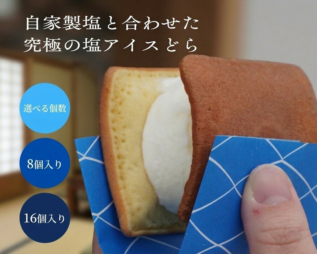湯ノ塩 塩アイスどら焼き 選べる個数 塩どら焼き専門店 ミルクアイス どらやき お菓子 スイーツ デザート お土産 おもたせ 手土産 ご当地 鳥取県 米子市