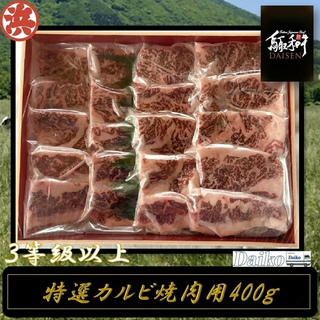 鳥取和牛DAISEN特選カルビ焼肉 和牛 牛肉 カルビ 焼肉 スライス 鳥取県産 国産 冷凍 お取り寄せ グルメ 鳥取県 米子市 送料無料