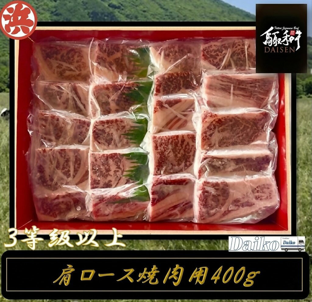 鳥取和牛DAISEN肩ロース焼肉 和牛 牛肉 肩ロース スライス 鳥取県産 国産 冷凍 お取り寄せ グルメ 鳥取県 米子市 送料無料