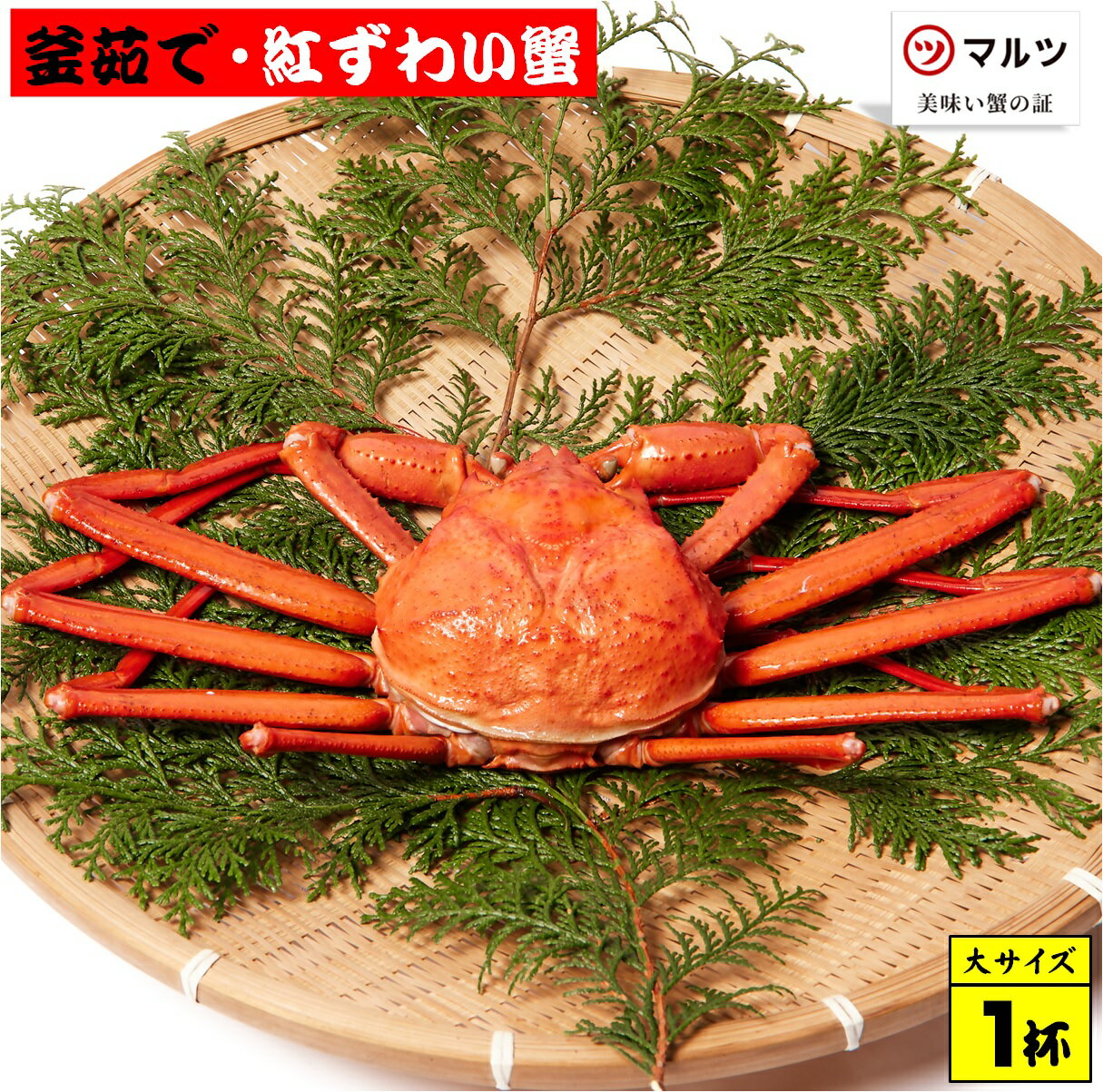 蟹屋の釜茹で紅ずわい蟹(特大)600g〜700g×1杯 冷蔵 境港産[老舗「蟹専門店」株式会社マルツ]塩茹で ボイル済 かに カニ 蟹 紅ずわいがに 鍋 海鮮 海の幸 鳥取県産 鳥取県 米子市 期間限定