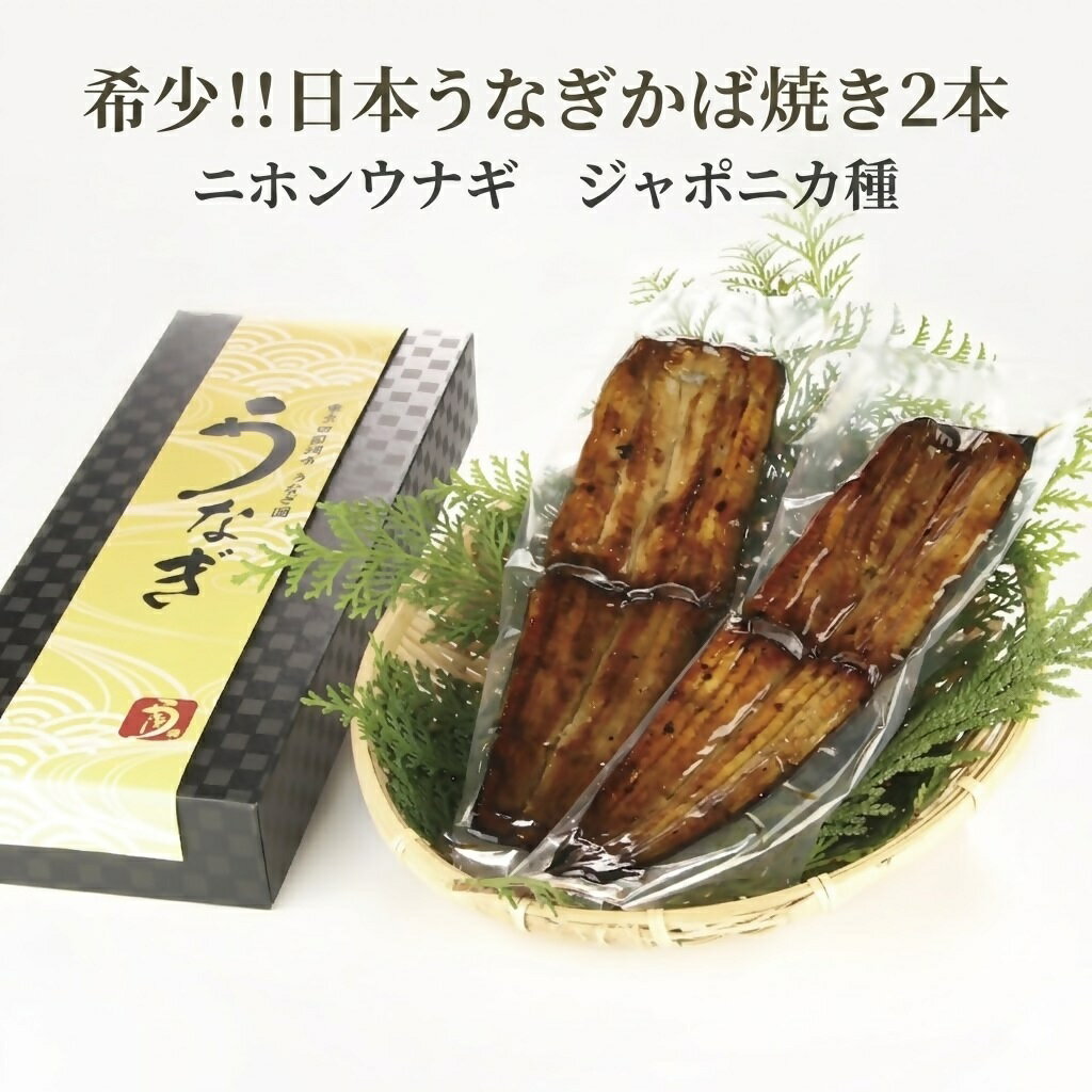 【ふるさと納税】希少！純国産 日本うなぎ かば焼き×2 ニホンウナギ ジャポニカ種 秘伝のタレ 冷凍 かばはうす 東京田園調布うなぎ圓米子本店 ウナギ 鰻 蒲焼き 丑の日 お取り寄せ グルメ 鳥取県 米子市