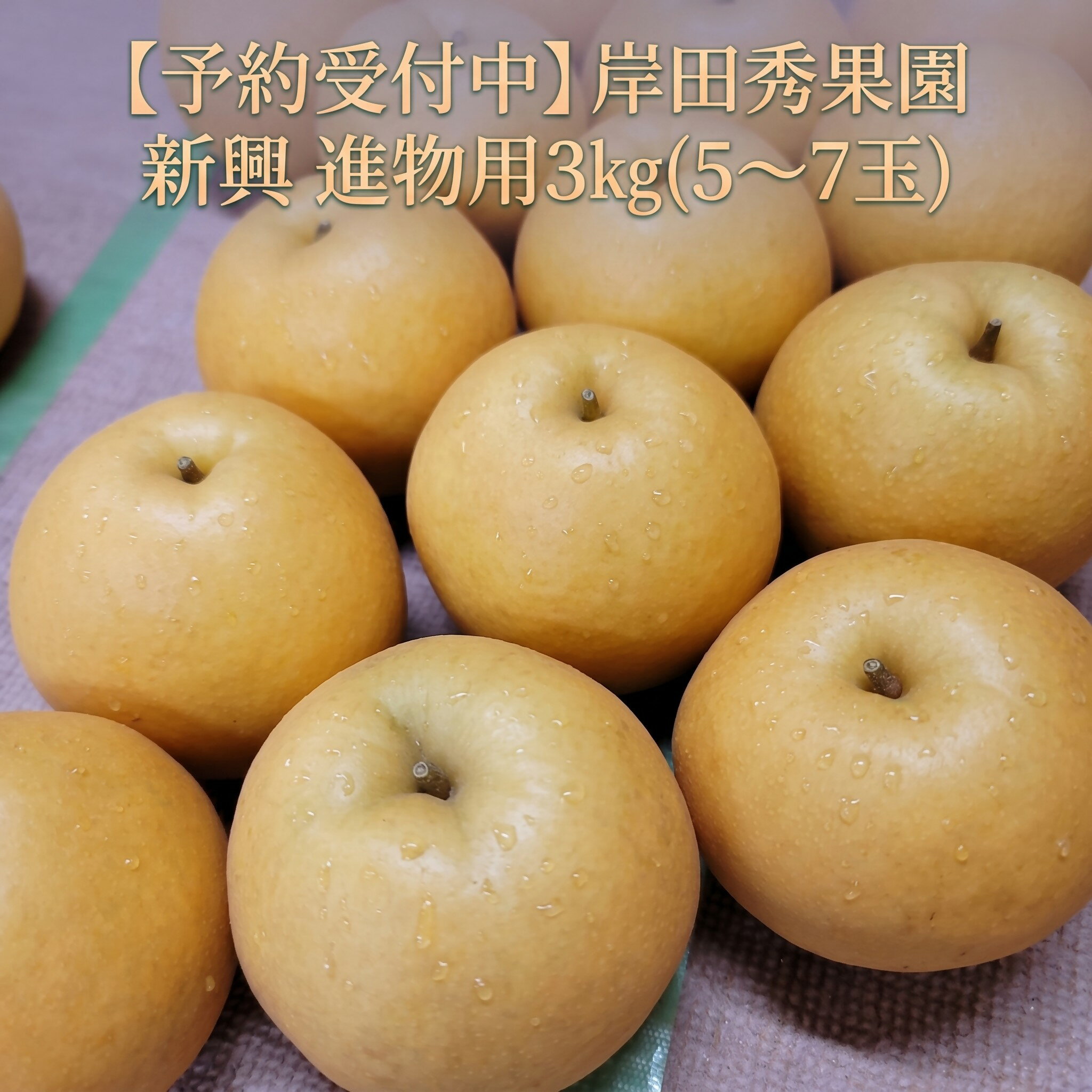 [予約受付中] 岸田秀果園 新興 梨 進物用 3kg やまのおかげ屋 鳥取県 米子市