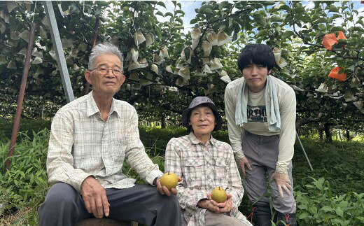 【ふるさと納税】【予約受付中】有梨の実石田 二十世紀梨 進物用 5kg やまのおかげ屋 鳥取県 米子市