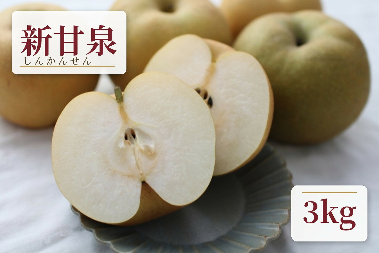 鳥取県産 新甘泉 梨 3kg クール便発送 [8月下旬頃から順次発送] 株式会社岡田商店