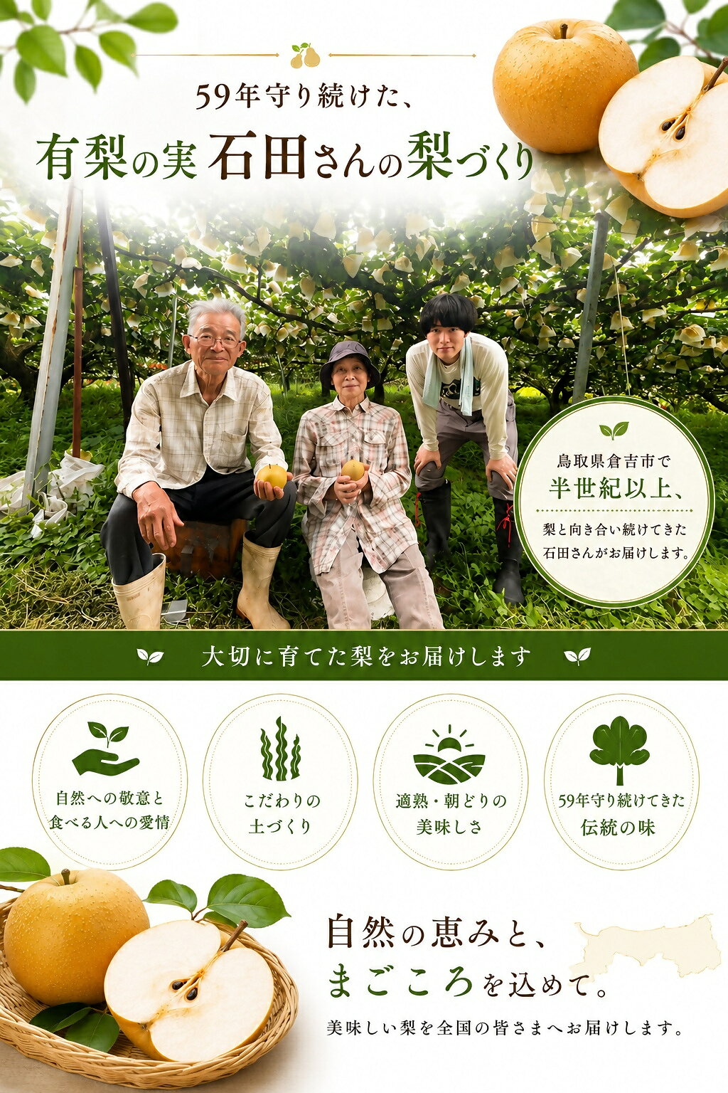 【ふるさと納税】 【予約受付中】 有梨の実石田 新興 進物用 5kg やまのおかげ屋 鳥取県 米子市
