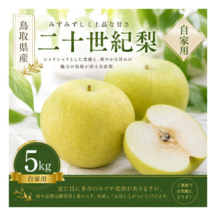 [予約受付中] 有梨の実石田 二十世紀梨 自家用 5kg 鳥取県 米子市