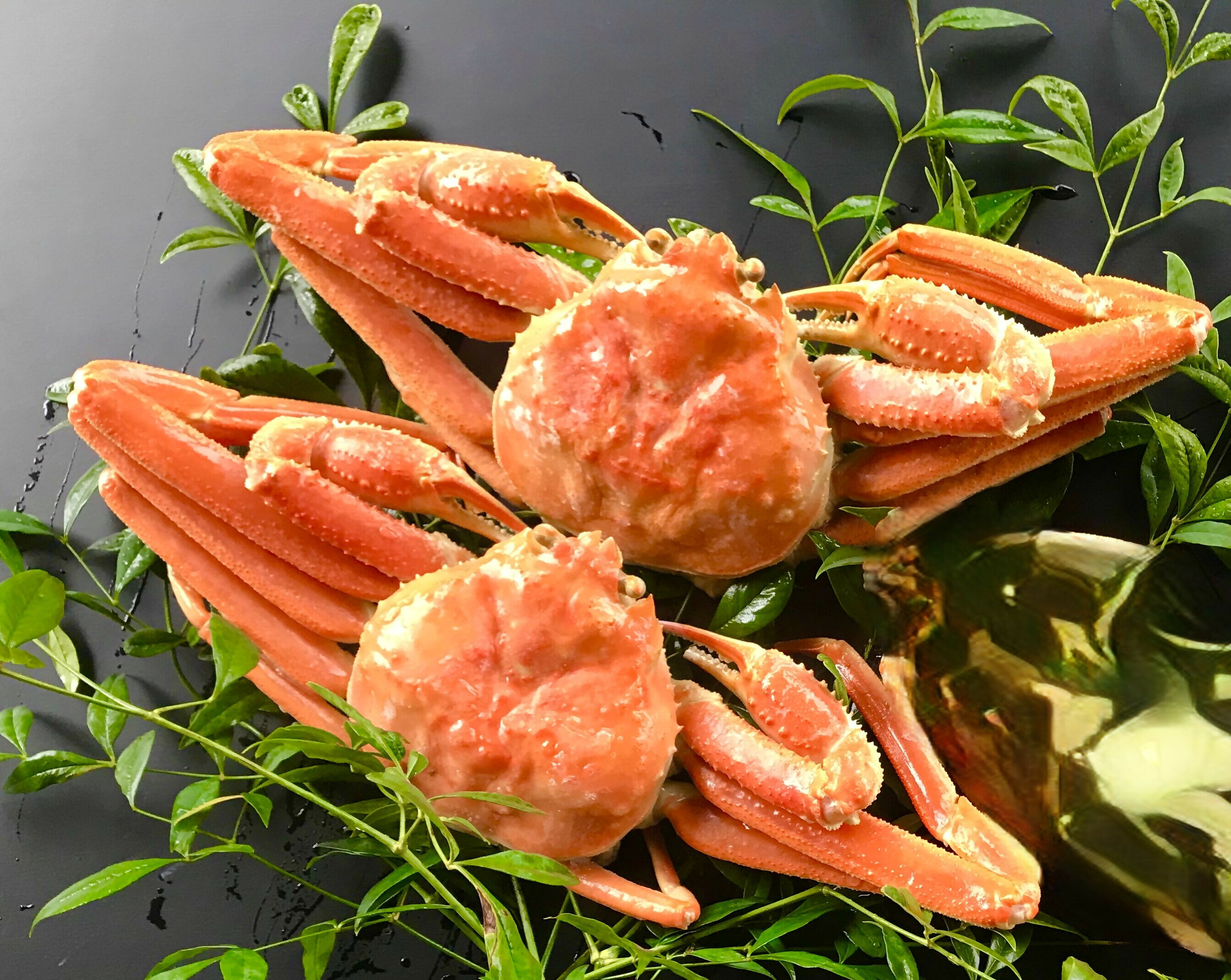  浜茹で！松葉蟹(足折れ）700g(1～2杯）前田水産 カニ 蟹 かに 海鮮 松葉 魚介 魚貝 お取り寄せ グルメ ご当地 鳥取県 米子市