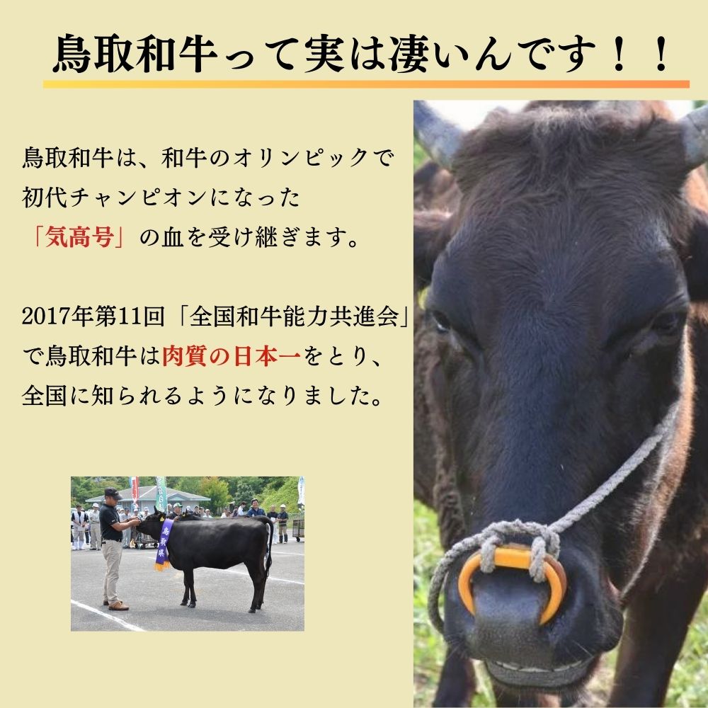 【ふるさと納税】鳥取和牛 ヒレステーキ 6回 定期便 ひれステーキ ヒレ ステーキ 赤身 牛肉 2枚 奇数月