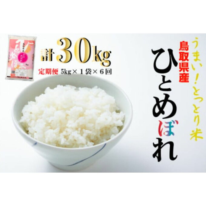 【ふるさと納税】鳥取県産ひとめぼれ6回定期便（5kg×6回）米 白米 定期便 ひとめ...