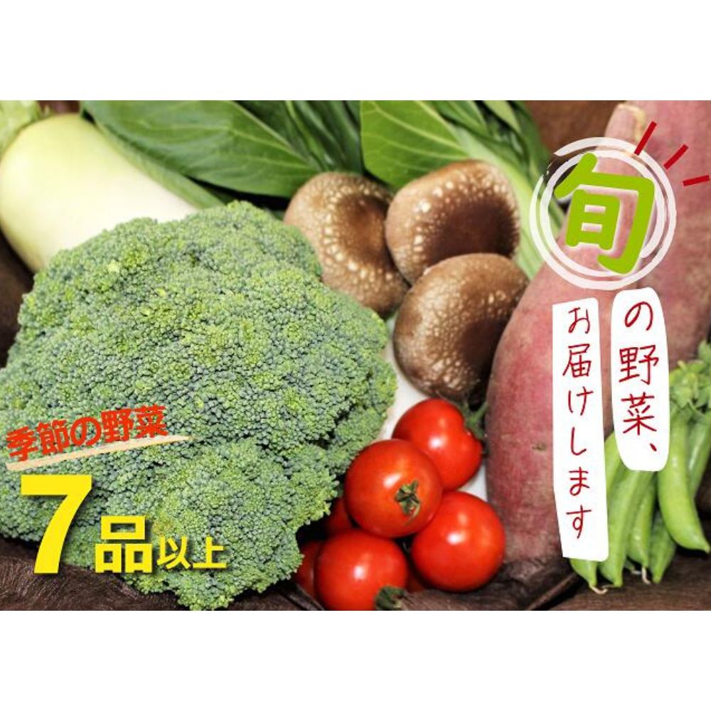 季節のお野菜 セット 鳥取県産 野菜 旬 新鮮 詰め合わせ 詰合せ おまかせ 常温