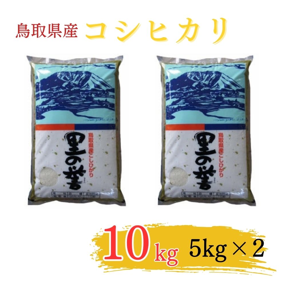 鳥取県産コシヒカリ(5kg×2袋)お米 白米 ブランド米 米 ふるさと納税米 コシヒカリ