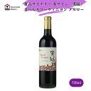 【ふるさと納税】倉吉ワイナリー 赤ワイン 「実結」 カベルネ