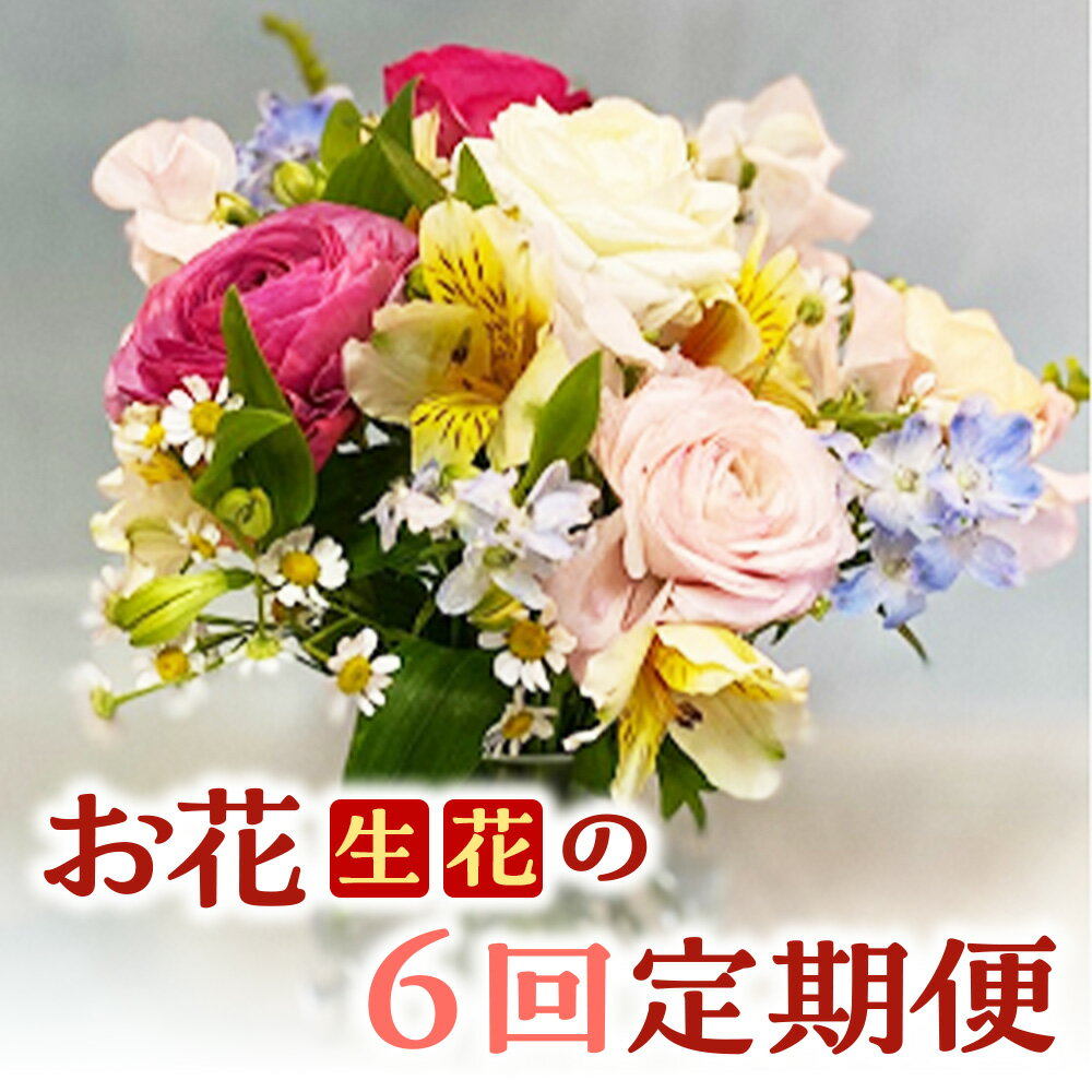 11位! 口コミ数「0件」評価「0」お花（生花）の6回定期便【チトのゆび】 花 定期便 生花 お花 鳥取県 倉吉市 お楽しみ おまかせ お任せ 鉢 母の日 父の日 敬老の日