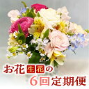 25位! 口コミ数「0件」評価「0」お花（生花）の6回定期便【チトのゆび】 花 定期便 生花 お花 鳥取県 倉吉市 お楽しみ おまかせ お任せ 鉢 母の日 父の日 敬老の日