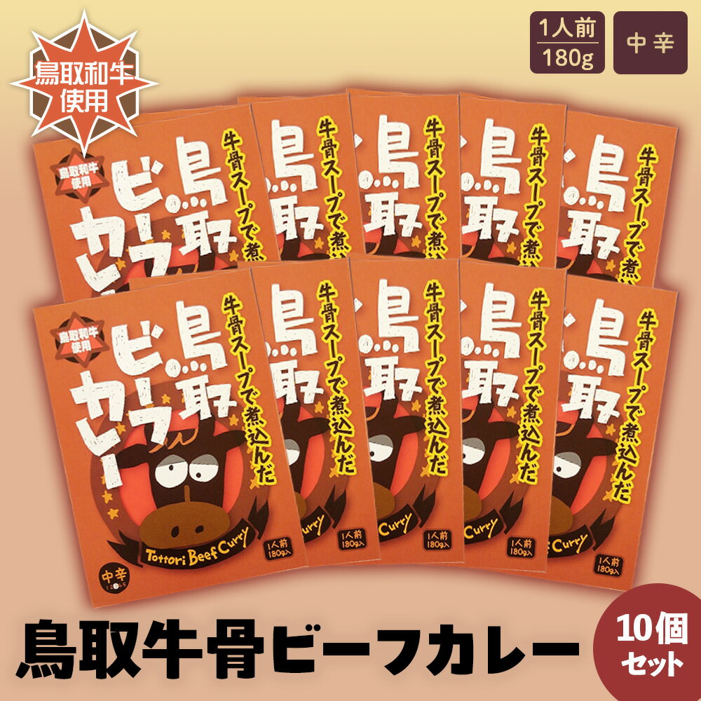 3位! 口コミ数「0件」評価「0」鳥取 ビーフカレー 10個 セット レトルト 常温 備蓄 非常食