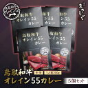 15位! 口コミ数「0件」評価「0」鳥取和牛オレイン55カレー5個セット 牛肉 和牛 肉 お肉 黒毛和牛 カレー レトルト 鳥取県倉吉市