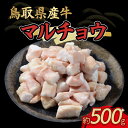 【ふるさと納税】鳥取県産 牛 マル腸 500g 国産 牛肉 マルチョウ ホルモン 肉 県産牛 鍋 焼肉 焼き肉 炒め物 もつ