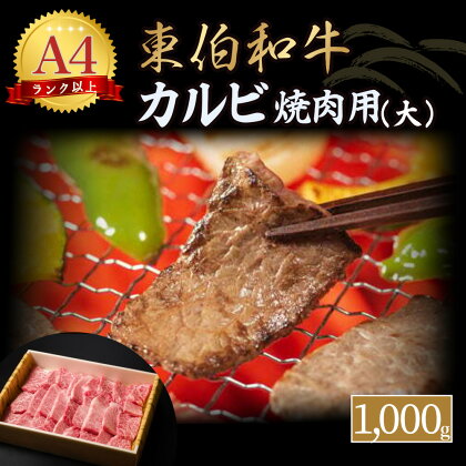 東伯和牛 カルビ 焼肉用 （大） 国産 牛肉 和牛 黒毛和牛 赤身 カルビ 焼肉 焼き肉 1000g