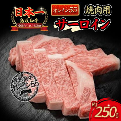 鳥取和牛 オレイン55 サーロイン 焼肉用 国産 牛肉 肉 和牛 サーロイン 焼き肉 黒毛和牛