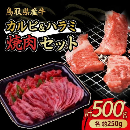 鳥取県産牛 カルビ250g ＆ ハラミ250g 焼肉 セット 国産 牛肉 焼き肉 ブランド牛 肉 鳥取産