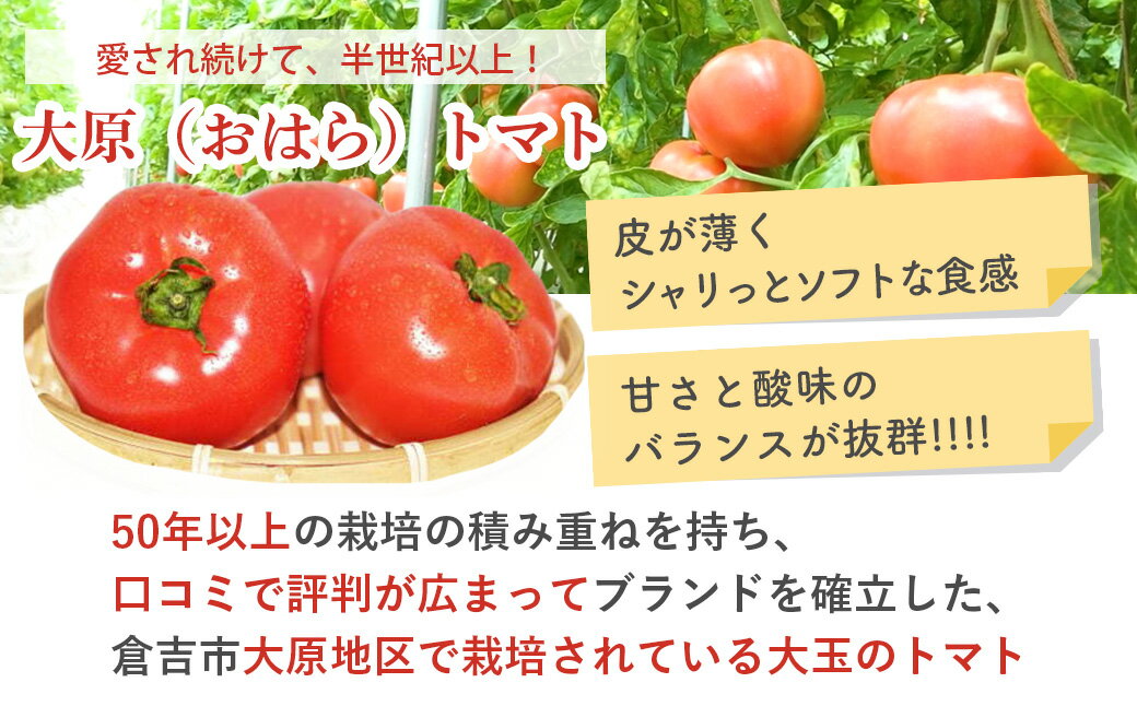 【ふるさと納税】【 期間限定 】大原 大玉トマト 4kg 倉吉市産 鳥取県 とまと トマト 野菜 新鮮