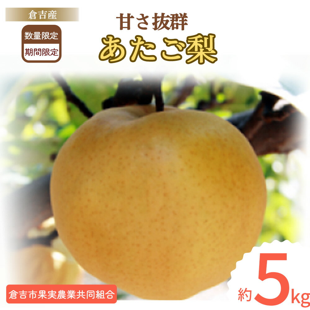 先行予約 あたご梨 [ 倉吉産] 5kg (倉吉市果実農業共同組合)12月上旬発送予定 数量限定 令和6年産 梨 ナシ なし あたご梨 フルーツ 果物 鳥取県産