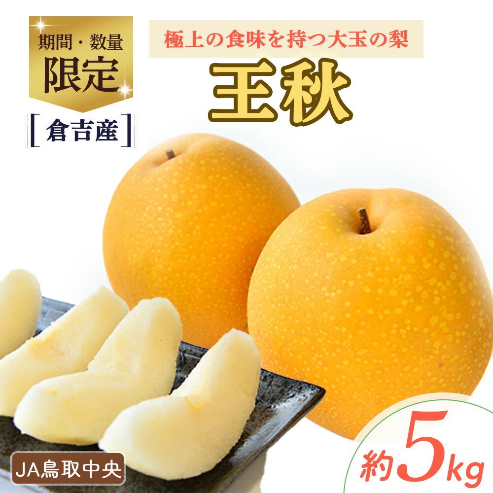 先行予約 王秋 [ 倉吉産] 5kg (JA鳥取中央)11月上旬〜11月下旬上旬発送予定 数量限定 令和6年産 梨 ナシ おうしゅう フルーツ 果物 鳥取県産