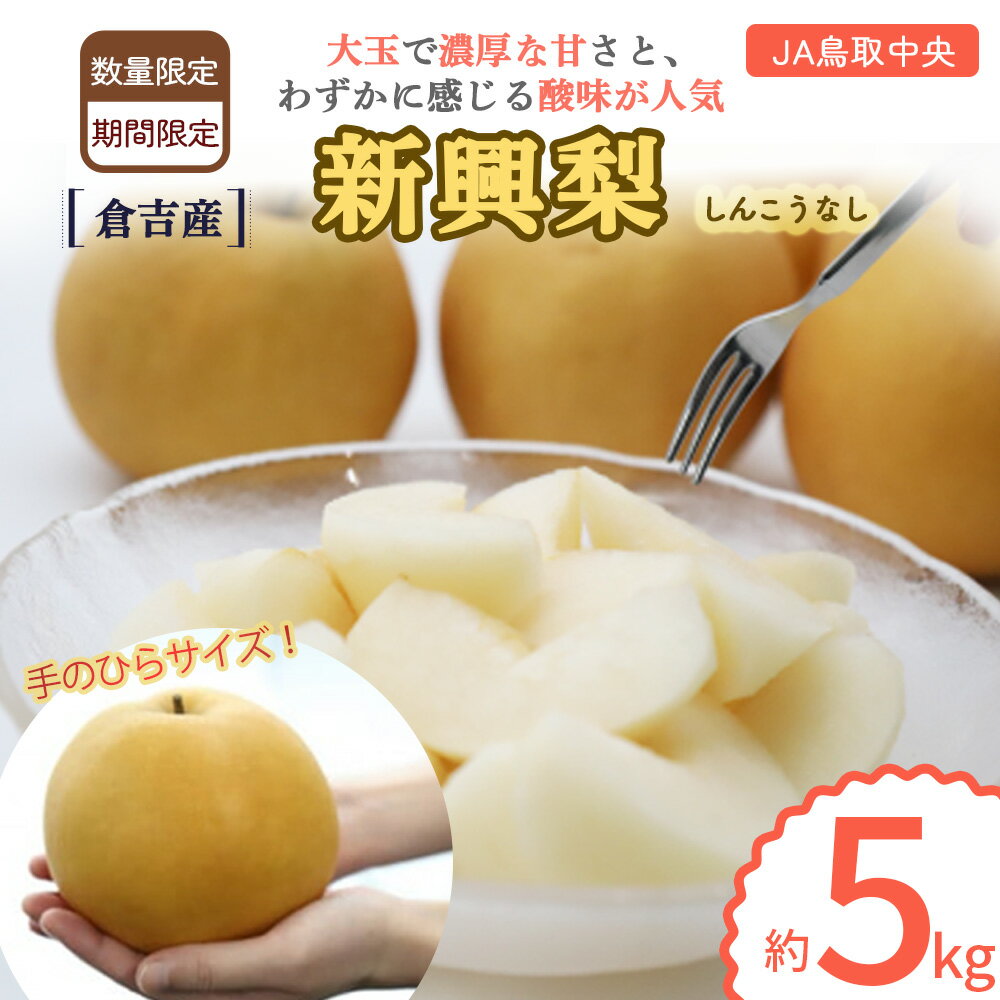 【ふるさと納税】先行予約 新興梨 【 倉吉産】 5kg （J