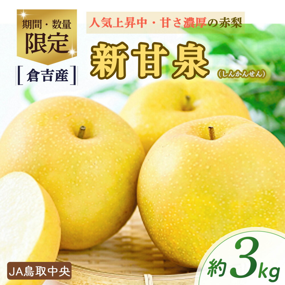 【ふるさと納税】先行予約 新甘泉【倉吉産】3kg（JA鳥取中央）8月下旬～9月上旬発送 数量限定 梨 ナシ しんかんせん フルーツ 果物 鳥取県産