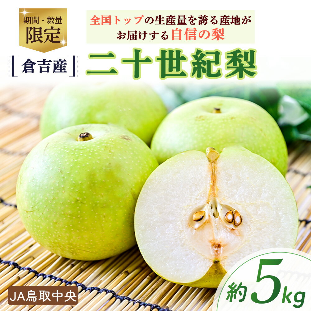 【ふるさと納税】先行予約 二十世紀梨 【倉吉産】5kg JA鳥取中央 9月上旬～9月中旬発送 数量限定 梨 ナシ 20世紀梨 二十世紀梨 フルーツ 果物 鳥取県産