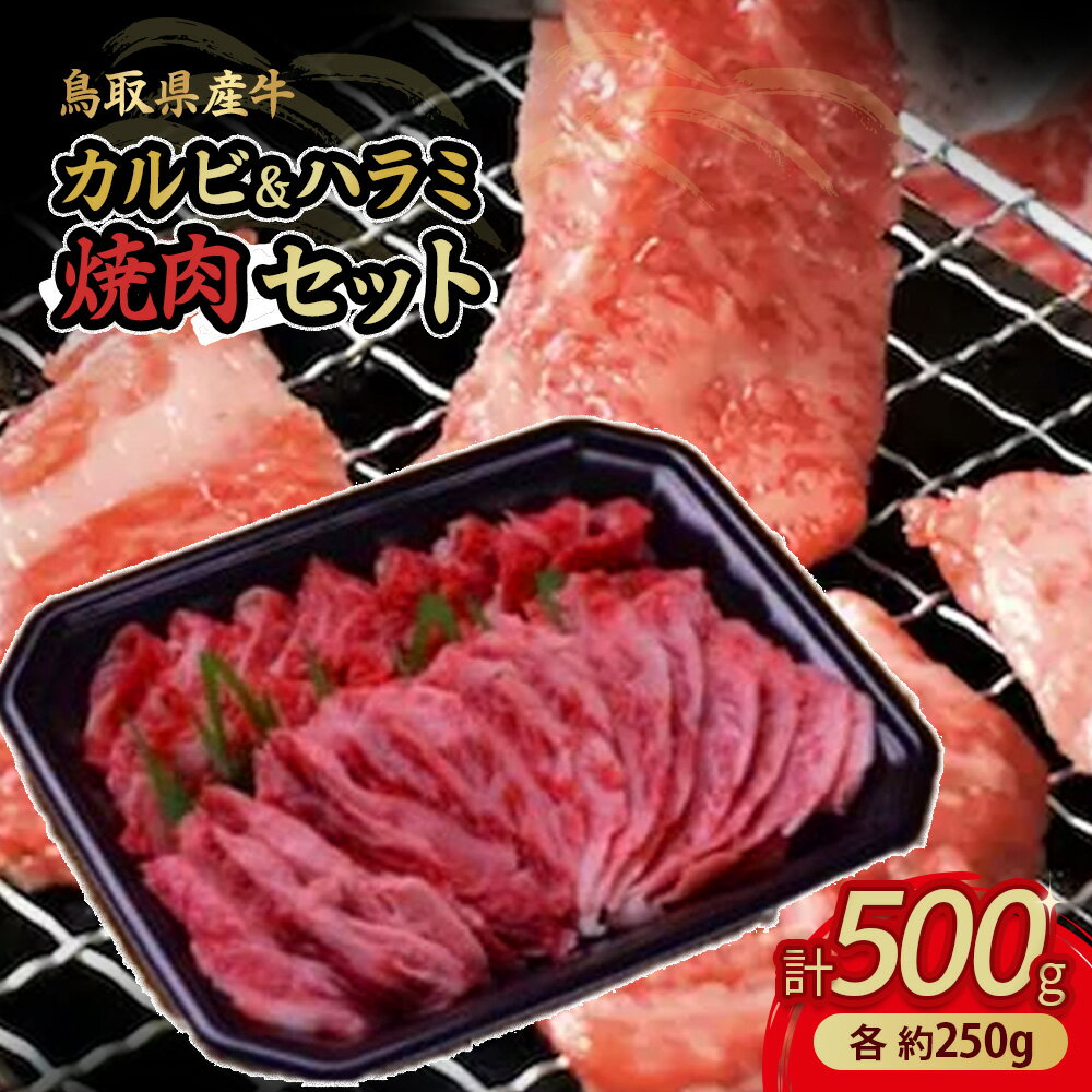 55位! 口コミ数「1件」評価「5」鳥取県産牛 カルビ250g ＆ ハラミ250g 焼肉 セット 国産 牛肉 焼き肉 ブランド牛 肉 鳥取産