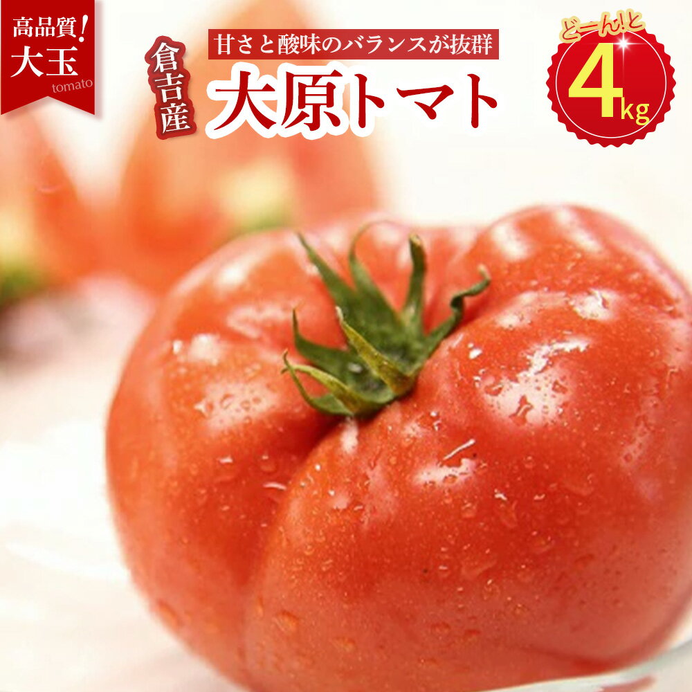 2位! 口コミ数「5件」評価「5」【 期間限定 】大原 大玉トマト 4kg 倉吉市産 鳥取県 とまと トマト 野菜 新鮮